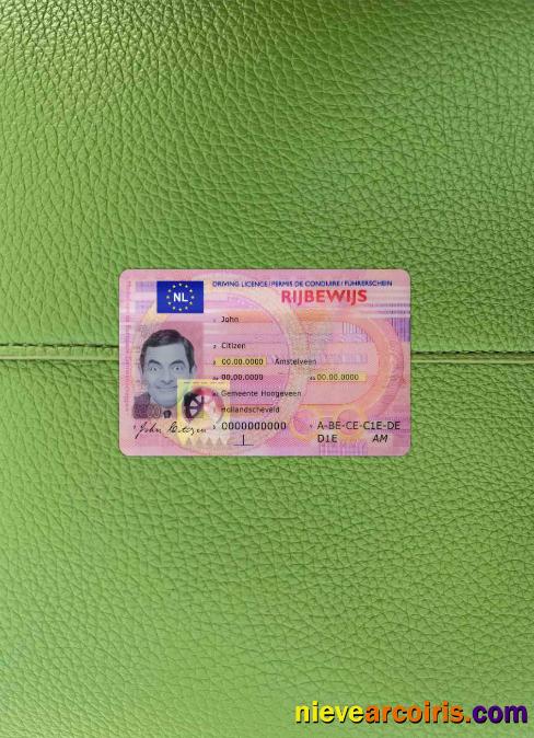 Netherlands driving license photolook